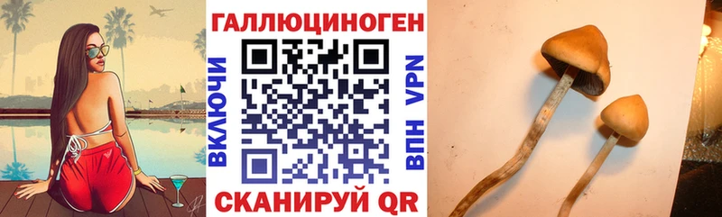 Галлюциногенные грибы MAGIC MUSHROOMS  blacksprut ССЫЛКА  Белинский  магазин  наркотиков 